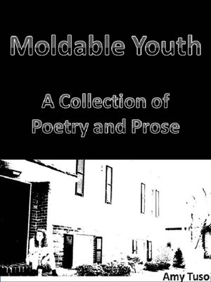 cover image of Moldable Youth